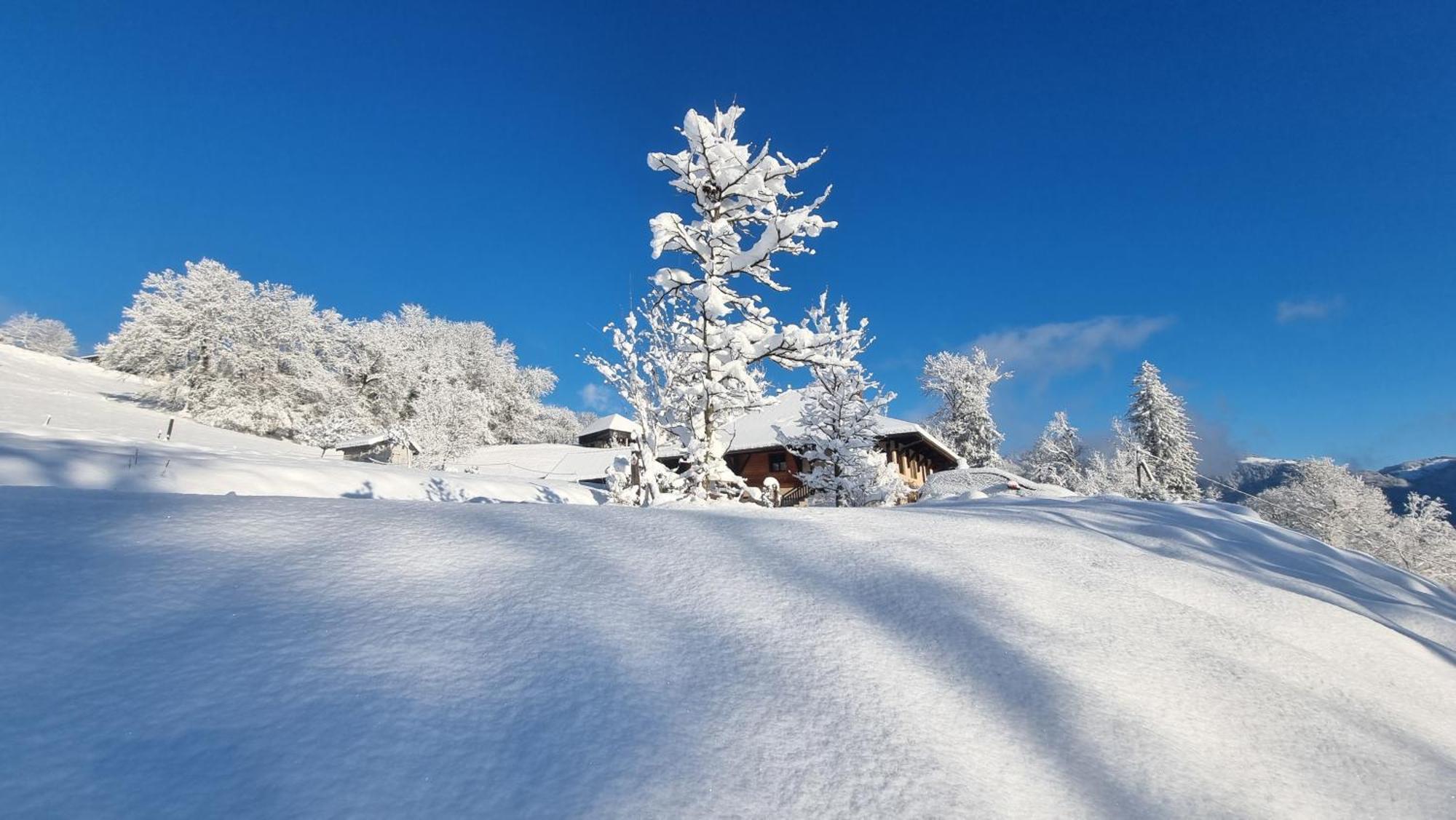 Le Refuge Du Montagnard Bed & Breakfast Marthod Exterior photo
